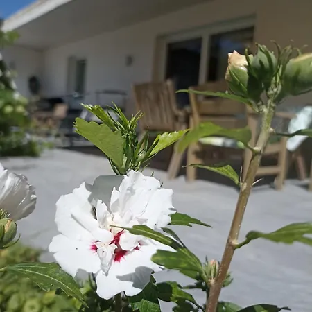 Beim Orgeler * Fügen